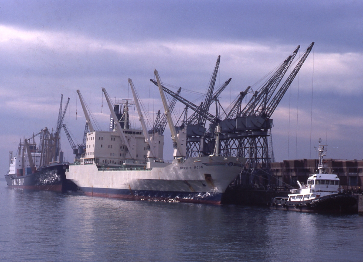 Winter Moon i Port Elizabeth.