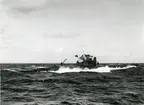 Ubåten Sjölejonet juni 1953.