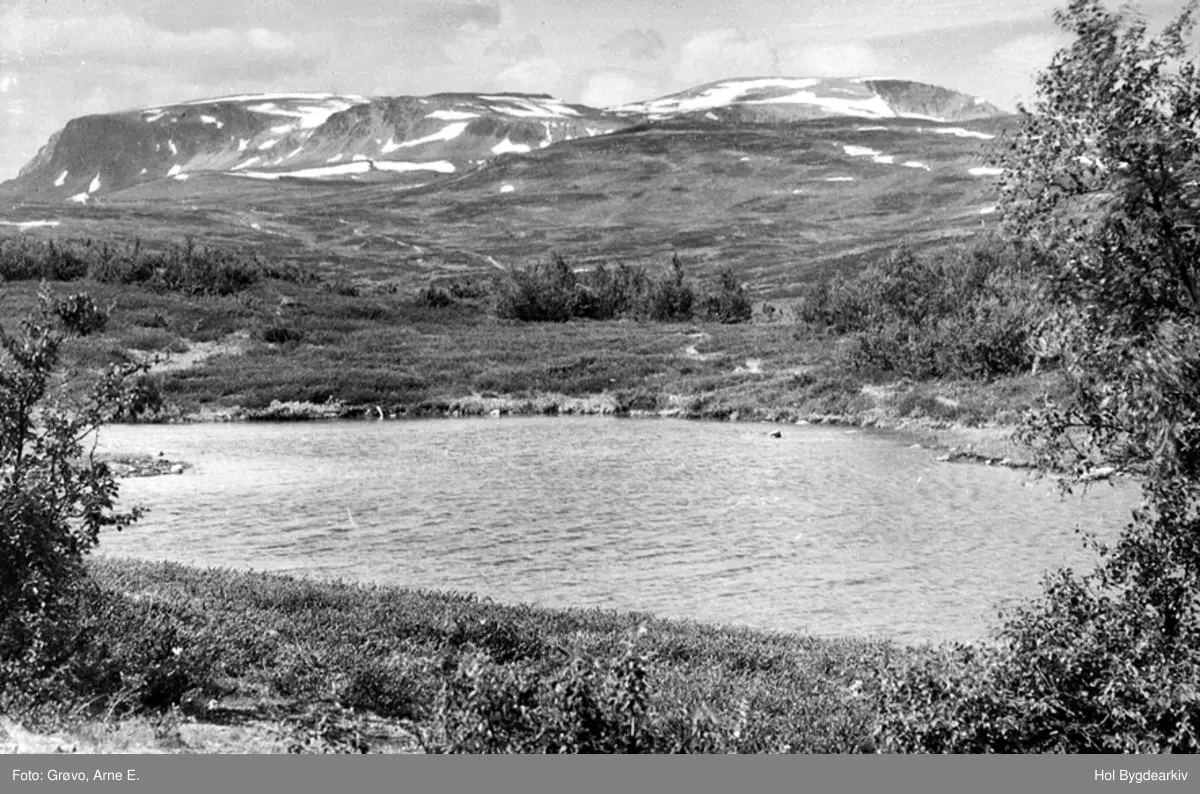 Landskap, Skurdalsåsen, sommar, Hallingskarvet, tjern,