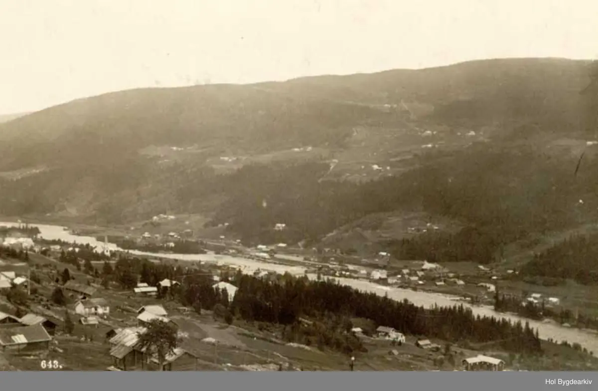Tettstad, Ål, Sundre, gardsbruk, jernbanestasjon, Bergensbanen; bildet er tatt frå Vestlia (Sundrelie). Bygningane på Øvre Leksvol (museumsgarden) er ikkje flutte enno - dei ligg på opphavleg stad, i eige tun. Øvst i Prestegardsskogen ser me i fyrste Nedre-Ål-skulen på Klukkargarden, og litt nedom der eit nybygg som må vera den kvite gamleskula frå 1924.
