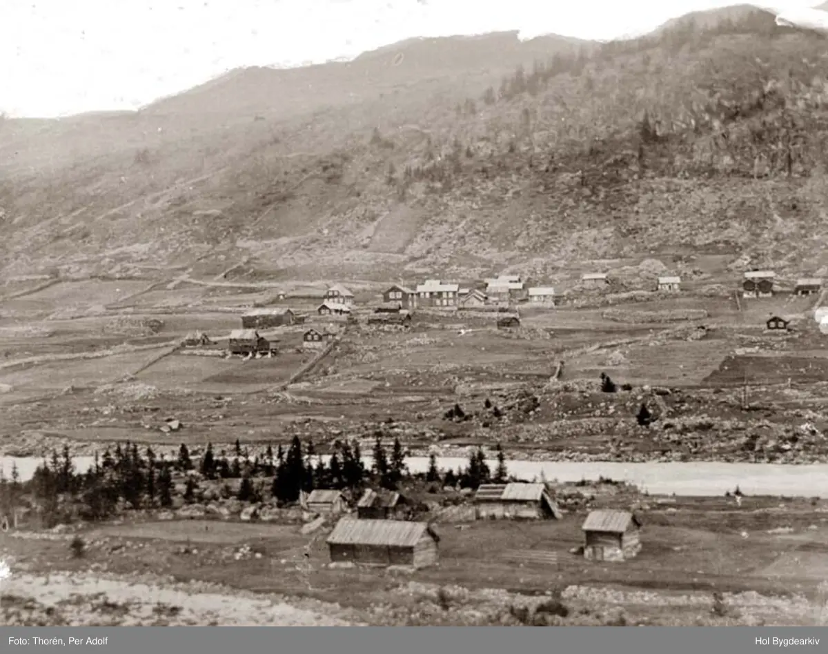 Gamalt bilde frå før 1880. Den nye kyrkja på Skeidet er ikkje bygd enno. Me ser Gretestugu, Pleymsgarden, gamle Tingstugu og Sundre Hotel før utbygging. Ingen jernbane enno, garsbruket Trolløyne i forgrunn: Tettsted, Ål sentrum, Sundre, gardsbruk, løe, Hallingdalselva.