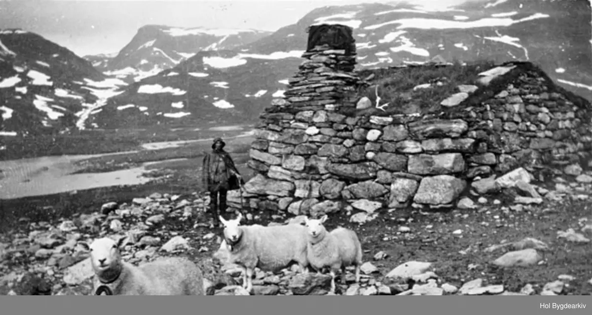 Jakt- og fiskebu i Haslahiet, Fødalen. Brukt av ferdafolk til og frå Lærdal heilt fram til i dag. Lars S. Veslegard frå Sudndalen (1853-1950) dreiv sauehandel det meste av livet sitt og gjorde tallause turar over fjellet til Vestlandet: sauesank, regnfrakk, høgfjellslandskap, Ynglesdalen