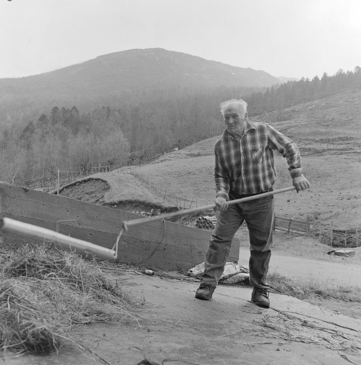 Tresking med sliul, ukjent mann. 

Viksdalen, Gaular kommune i Sogn og Fjordane. 
Foto Jan Haug, Domkirkeodden. 