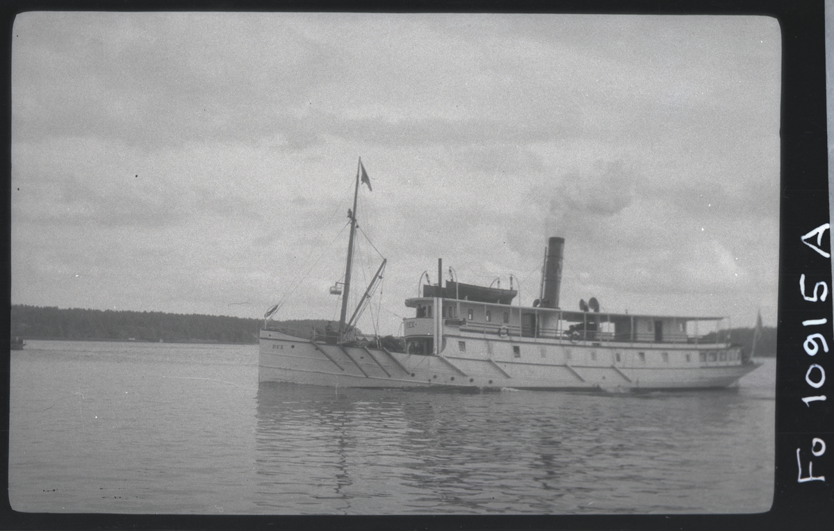 Skärgårdsångaren REX.