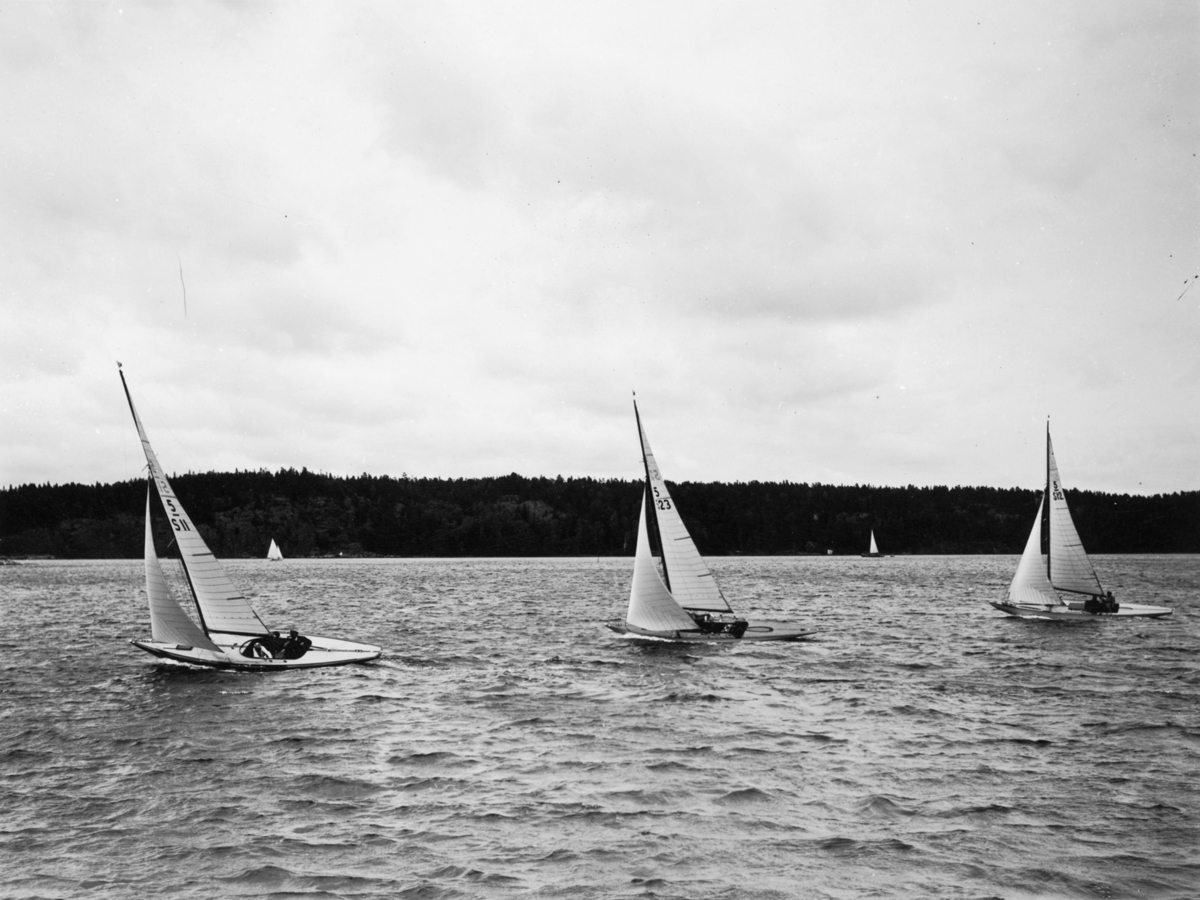 "beskäres" "Rodret 2 sp"