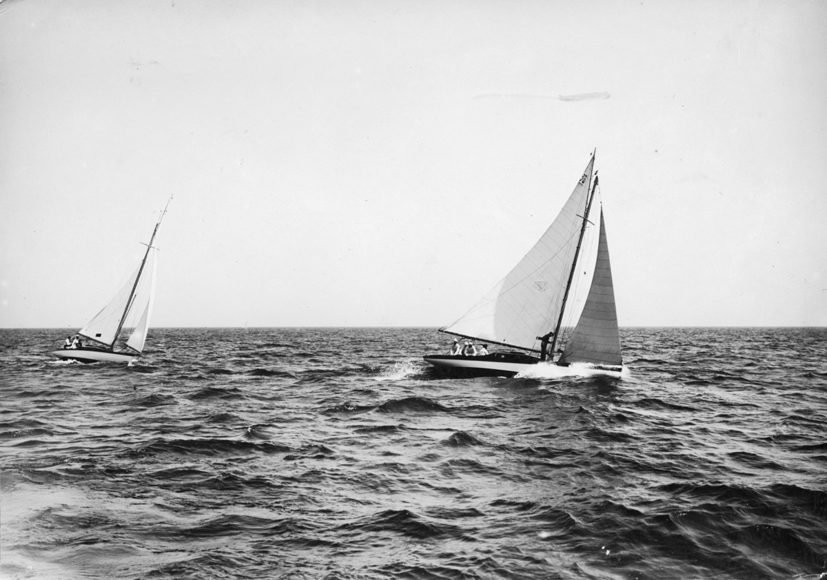 "78 mm bred" "36 Beatrice" "Salome 28"