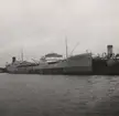 M/T CLEOPATRA i Rotterdam, 12.7.1948