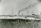 Hjulångfartyget FREIA i Trelleborgs hamn, år 1905.