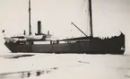 Fartyget vid iskanten utanför Axelön, 7 mil från Sveagruvan april månad 1923.