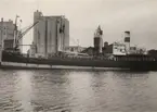 Det islänska lastångfartyget SELFOSS från Reykjavik, liggande i Malmö hamn 28/4 1953.