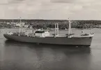 Lastmotorfartyget LAGNÖ av Stockholm på provtur 1953. Fartyget levererat 9/7/1953.