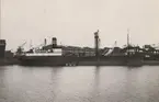 Det panamesiska lastångfartyget PARITA II liggande i Malmö hamn 1949.