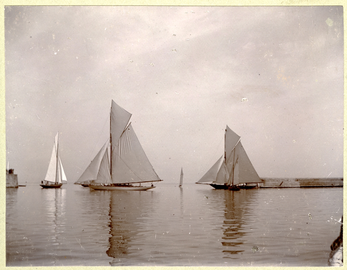 Tyska segeljakten HERTHA vid internationell kappsegling utanför Malmö 1895