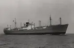 Lastmotorfartyget LEOVILLE av Oslo på provtur 1950.