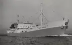Tankmotorfartyget TOVE VENDILA av Köpenhamn på provturen 1954.