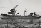 Lastmotorfartyget VOLGA av Odessa liggande i Trelleborg 17 mars 1953.