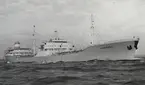 Tankmotorfartyget THORSAGA av Sandefjorde på povtur i april 1960.