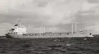 Tankmotorfartyget CANDEIAS av Rio de Janeiro på provtur i juli 1960.
