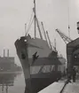 Lastmotorfartyget OFELIA av Göteborg anlöper Malmö på sin jungfruresa den 25 jan. 1958.