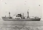 Lastmotorfartyget SKYROS av Köpenhamn i Öresund 1963.