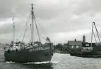 Holms skeppsvarv. Fiskebåten MPT 1028, för Leningrad, på povtur 1950.
Skåne, Malmöhus län, Råå.