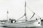 Holms skeppsvarv. Fiskebåten Fjalar, för Island, på provtur 1955.
Skåne, Malmöhus län, Råå.