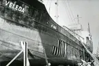 Holms skeppsvarv. S/S Veleda från Bremen repareras för skador genom isskruvning, 1956.
Skåne, Malmöhus län, Råå.