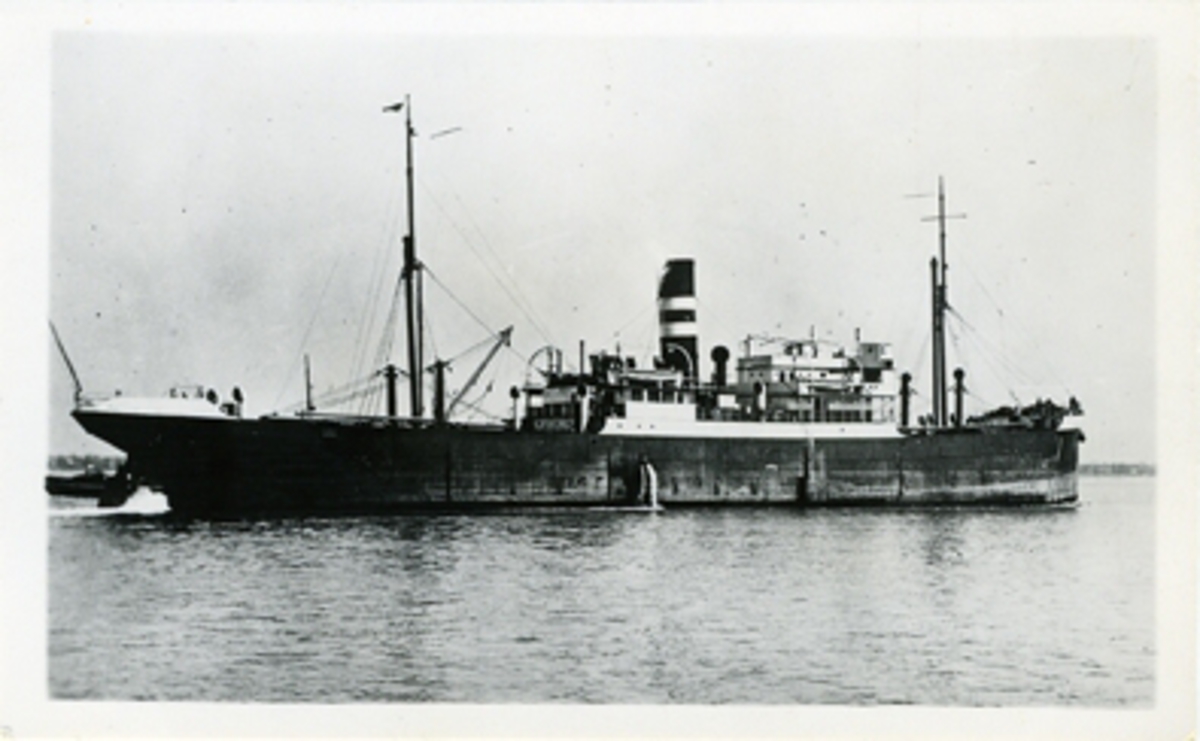 Lastångaren S/S COMMODORE.