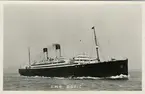 Brittiska passagerarfartyget R.M.S. DORIC. Vykort.