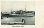 Ångaren S/S DROTTNING SOPHIA. Vykort.