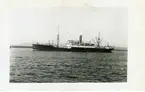 Nautical Photo Agency. 8 Russel Grove, Mill Hill. N.W.J