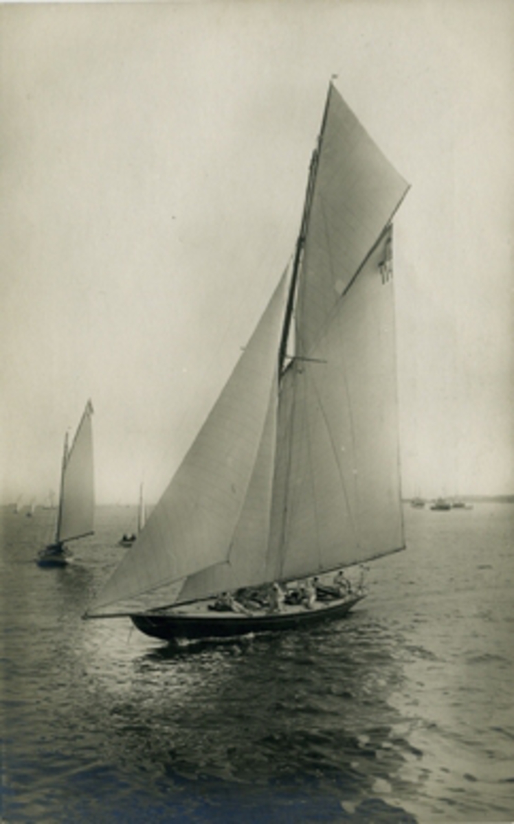 Olympiska Spelens i Stockholm 1912 officiella Brefkort.
Granbergs Konstindustri-Aktiebolags Förlag, Stockholm.
N:r 311. "Kitty", Sverige.