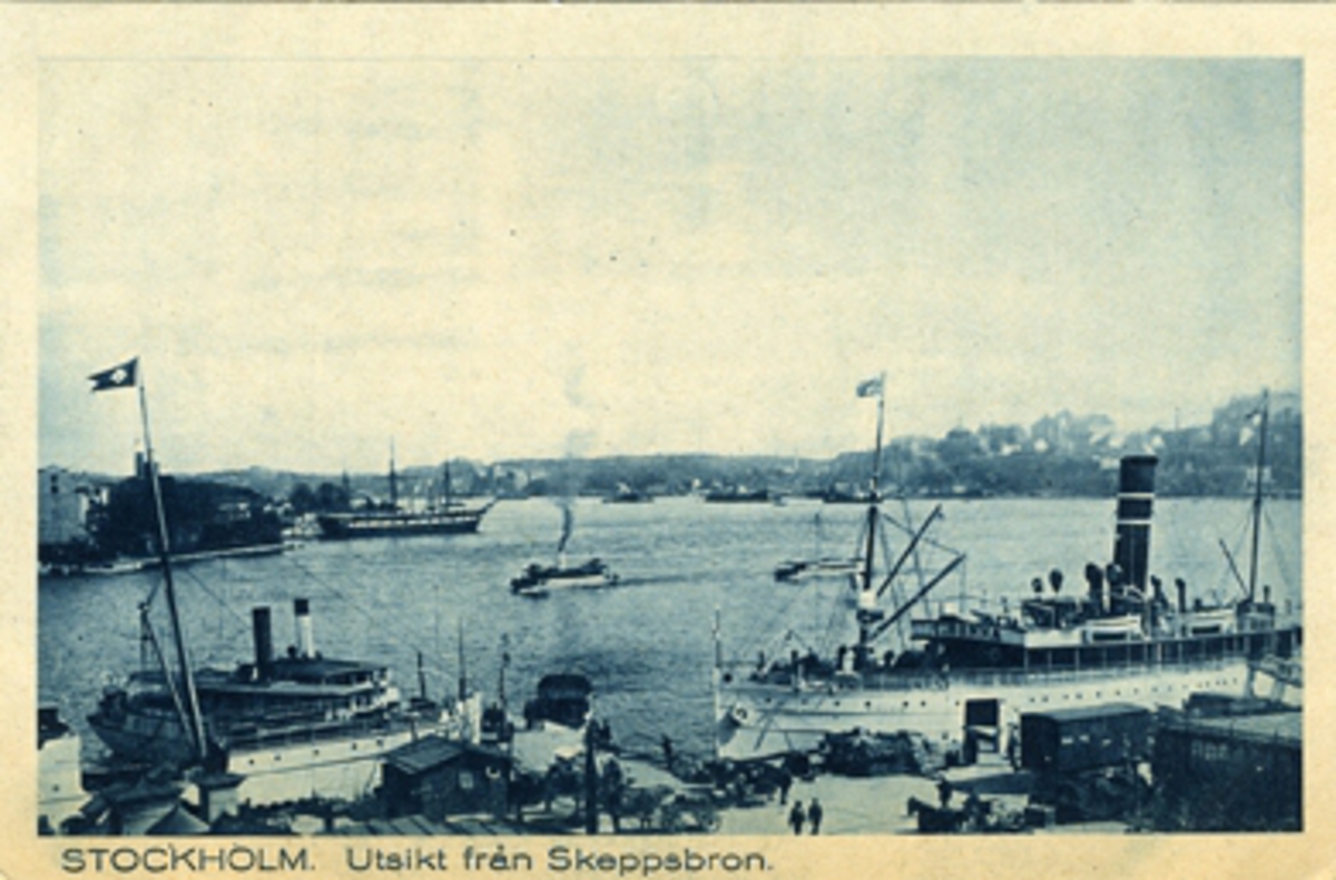 Stockholm. Utsikt från Skeppsbron.
Ljunggrens Konstförlag, Stockholm. Nr. 122