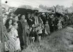 Göteborg den 4 aug. 1943.
Ulvenmännens jordfästning. Stundens allvar grep alla och envar. Allmänheten trängdes utanför för att få se en skymt av sorgespelet.