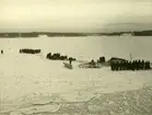 Transport på isen för kustartilleriet under vintern 1939 - 40. Fotot taget från HMS Drottning Victoria.