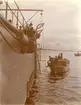 Kusteskadern 22/5 - 20/8 1895.  Torpeden bärgas, Stockholms skärgård,. Chef: Kom.kapt. Palander af Vega A.A.L., Sek: Kapt. Dyrssen W.