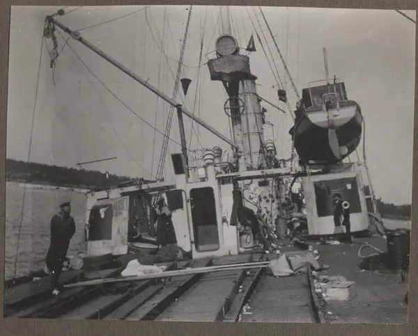 "Albatross"
3/7 1915