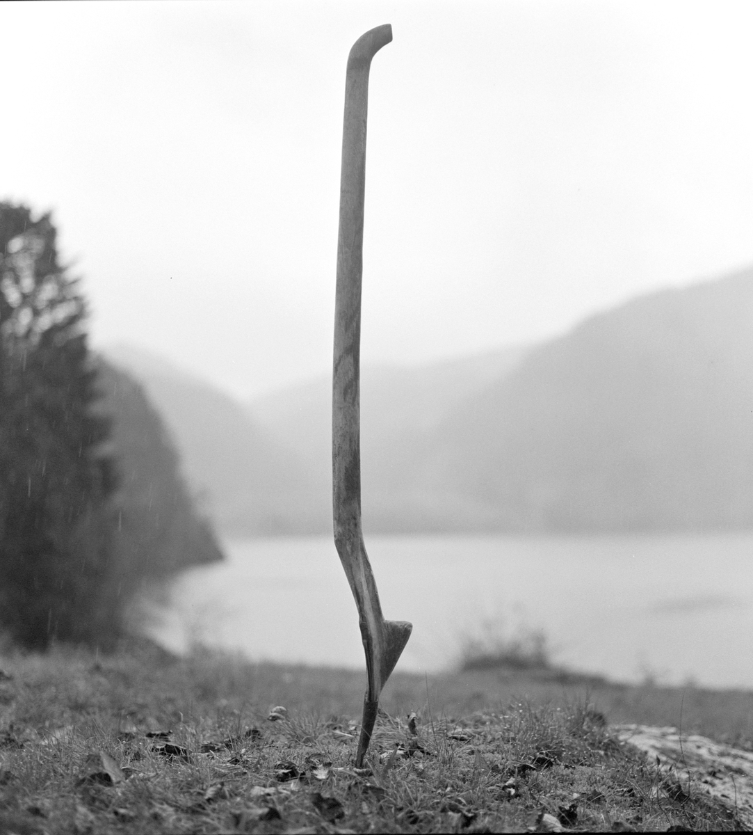 Nabbespade, spade, torvspade, jordbruksredskap.. Se SUM. 00351. Tilhører Sunnfjord Museum
Foto Jan Haug, Domkirkeodden