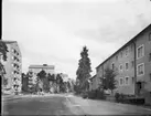 Torsvikshöjden
Exteriör