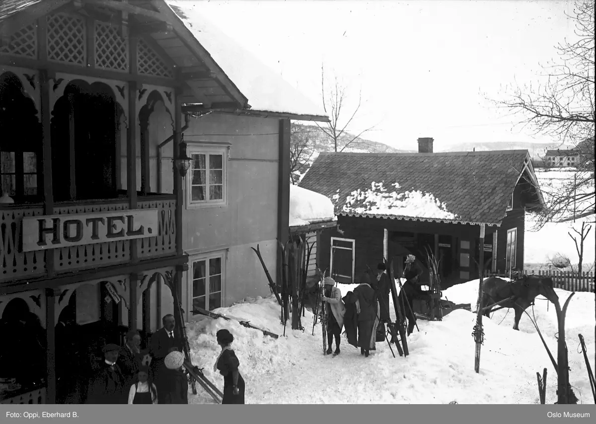 hotell, tun, hest, slede, hotellgjester, vinterferie, ski, snø