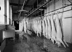 Svinslakteriets svalhall i Stockholmsortens Slaktdjursförsäljningsförenings nya slakthus, Sofielundsgatan, Boländerna