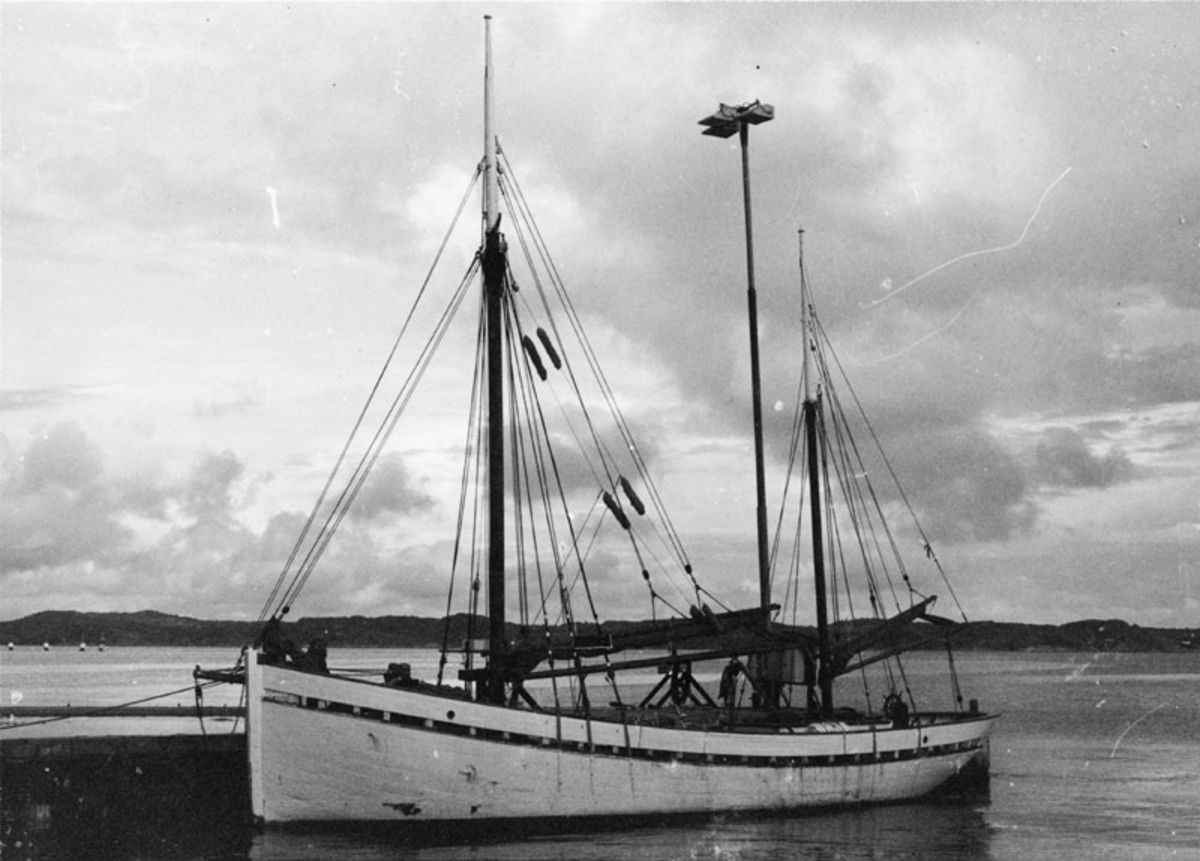 Fo148614AF