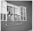 Fallskärmsjägarskolan i Karlsborg början 1950-tal.