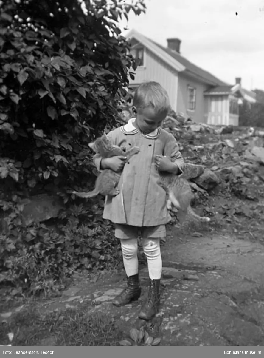 Text som medföljde fotot: "Sture med kattungar Mollösund 17/6 23".