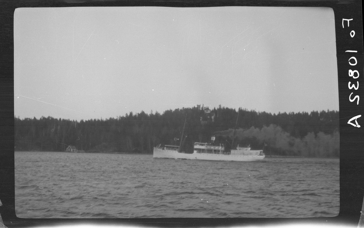 Ångfartyget CARL VON LINNÉ.