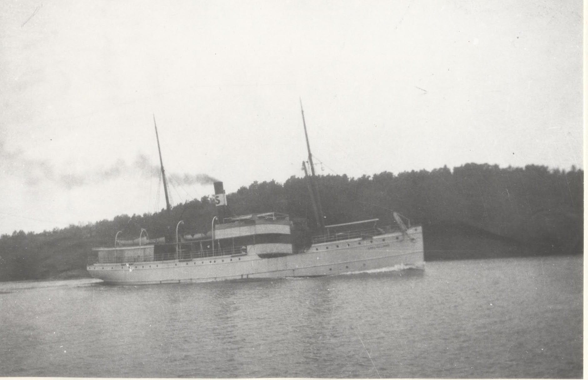 Ångaren CARL von LINNÉ i Tenösund.