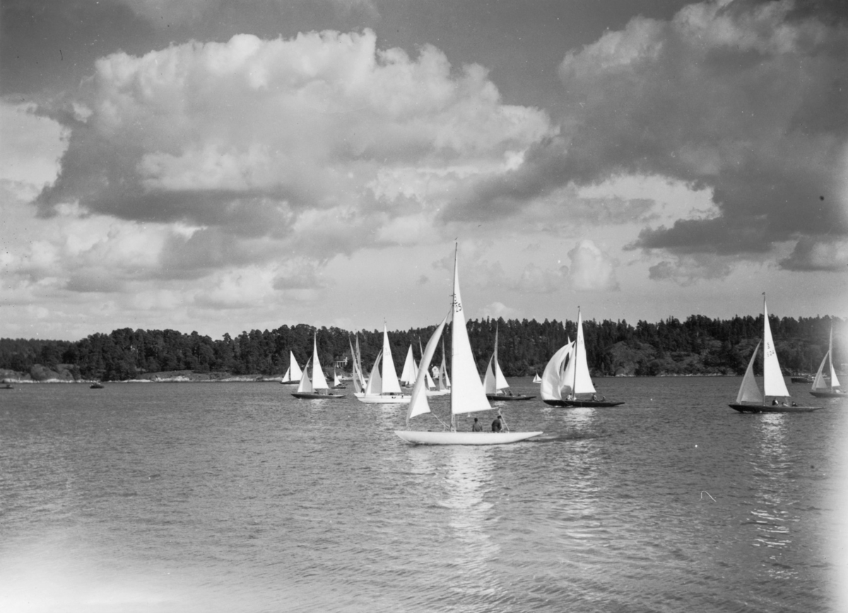 "Rodret 2 spalter beskäres"