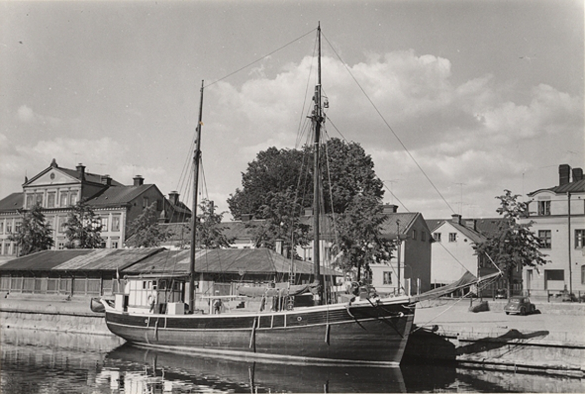 Motorgaleasen AMALIA av Degerhamn vid kaj i Uppsala.
