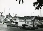 Sunnan, Aga, Gustavsberg V, Norrskär o. Express I i Sandhamn, 1949.