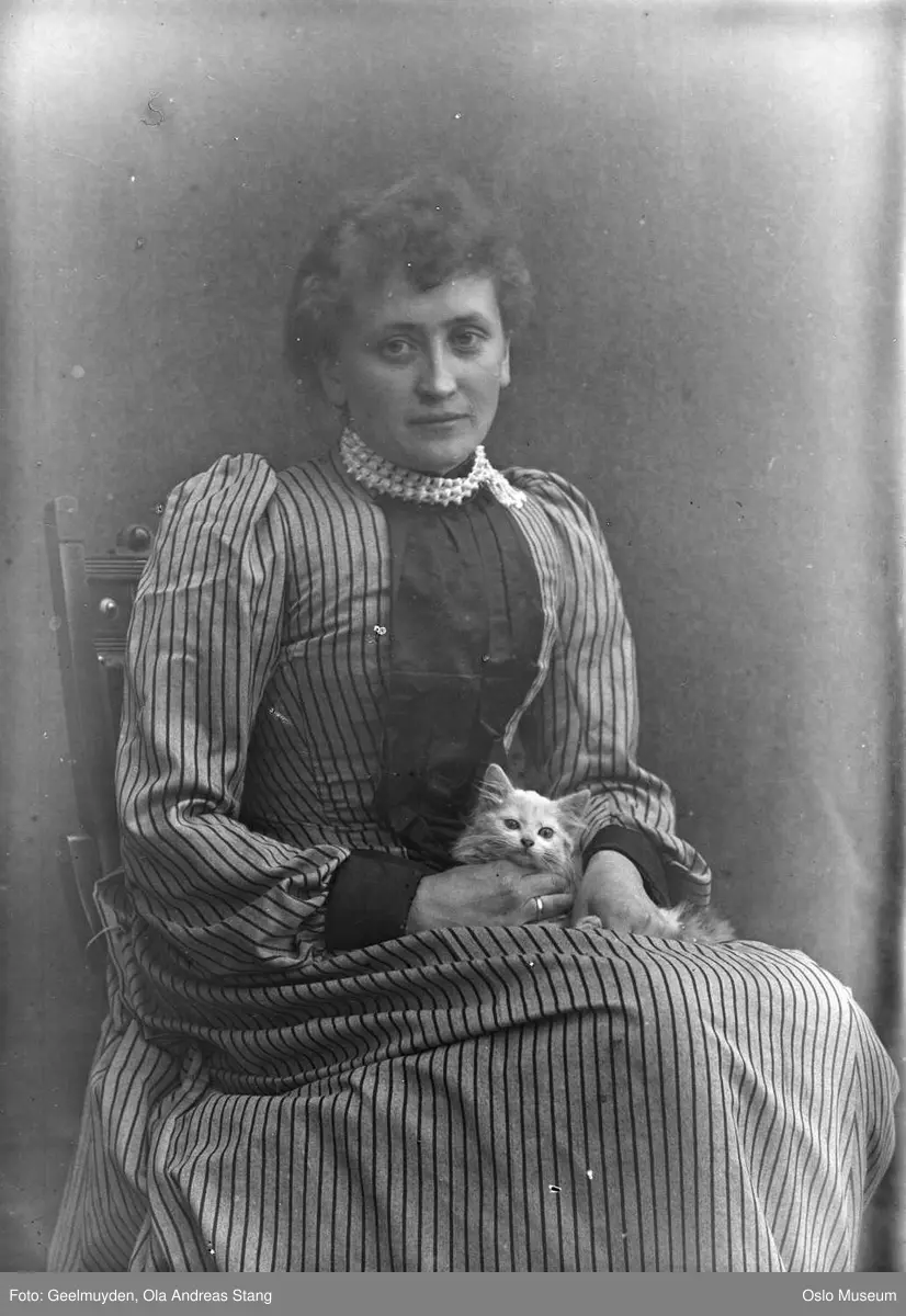 portrett, kvinne, forfatter, sittende knefigur, katt